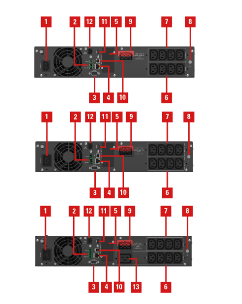 Conexiones SAI Salicru SLC TWIN RT3 LION