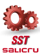 SST Salicru